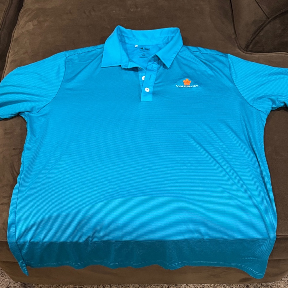 Men's Blue Polo Shirt
